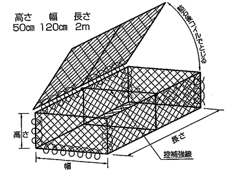 構造図